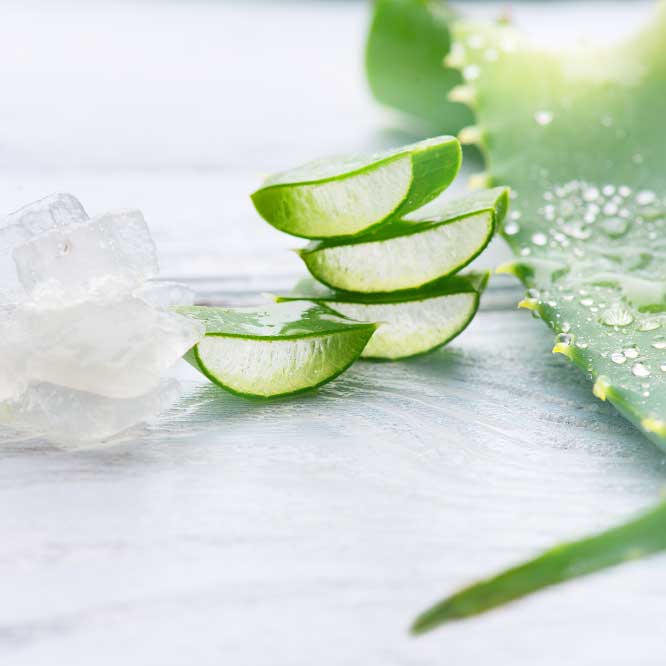 Aloe Vera: The Expert Secret for Radiant Hair