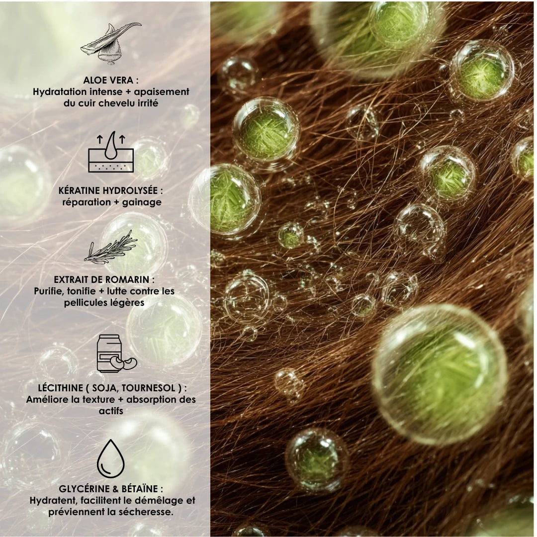 Aloe Vera & Keratin Routine — Scalp Purify & Hydration